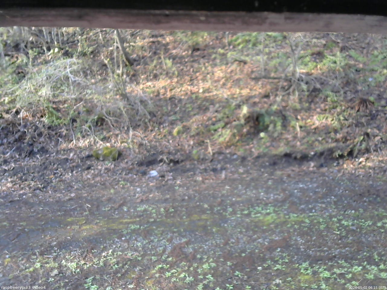 長野県菅平高原 ゆたか山荘 東側(坂下) 2026/05/02 06:15