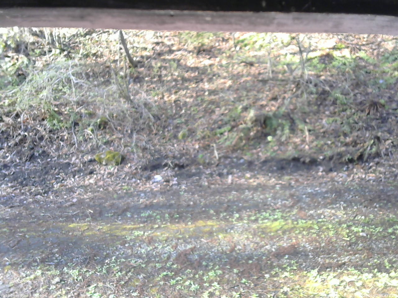 長野県菅平高原 ゆたか山荘 東側(坂下) 2026/05/02 06:45