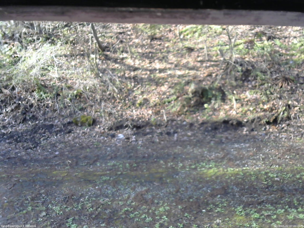 長野県菅平高原 ゆたか山荘 東側(坂下) 2026/05/02 07:00