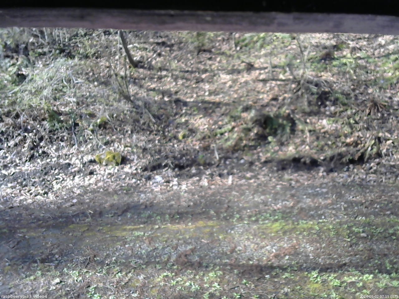 長野県菅平高原 ゆたか山荘 東側(坂下) 2026/05/02 07:15