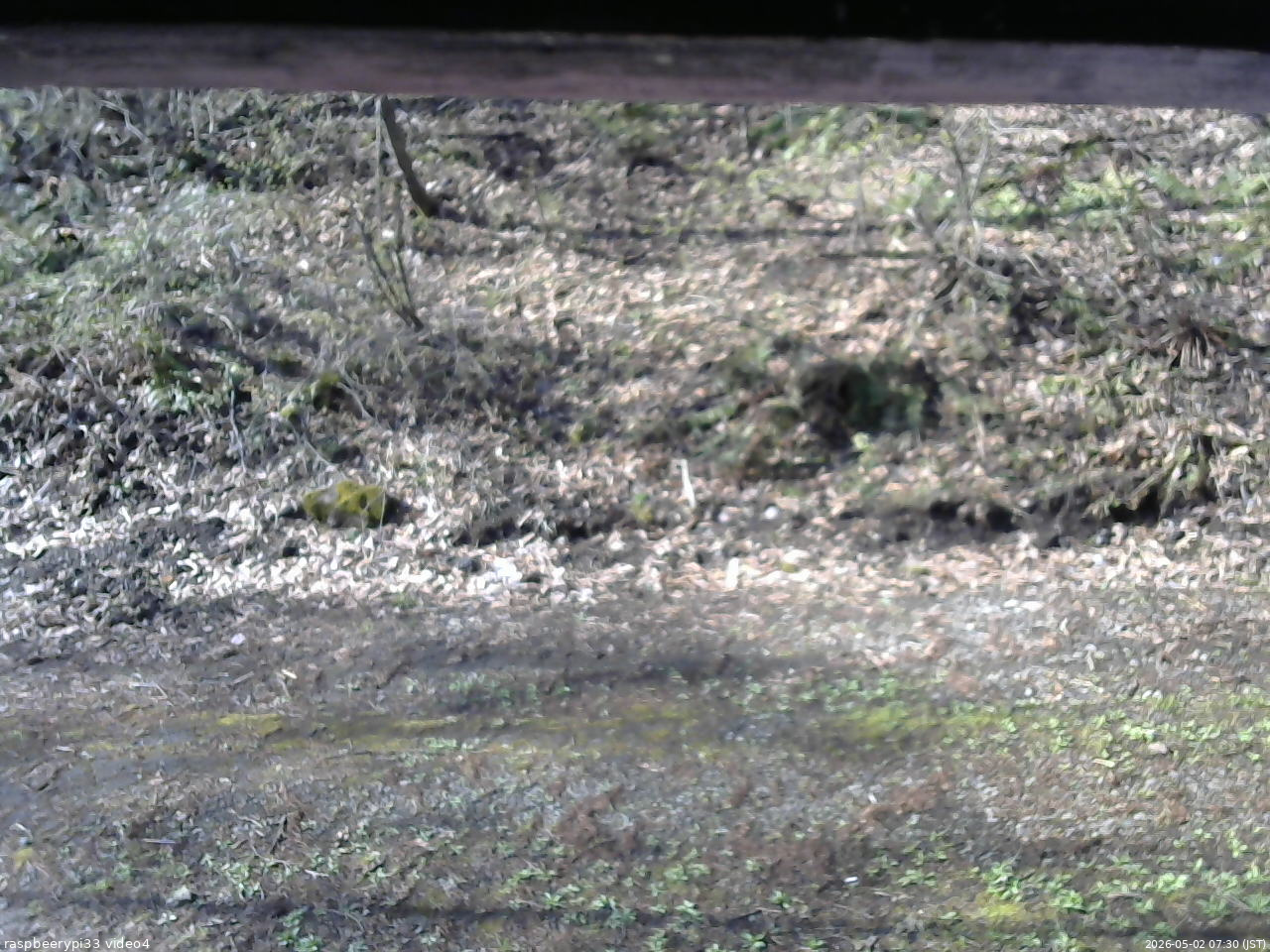 長野県菅平高原 ゆたか山荘 東側(坂下) 2026/05/02 07:30