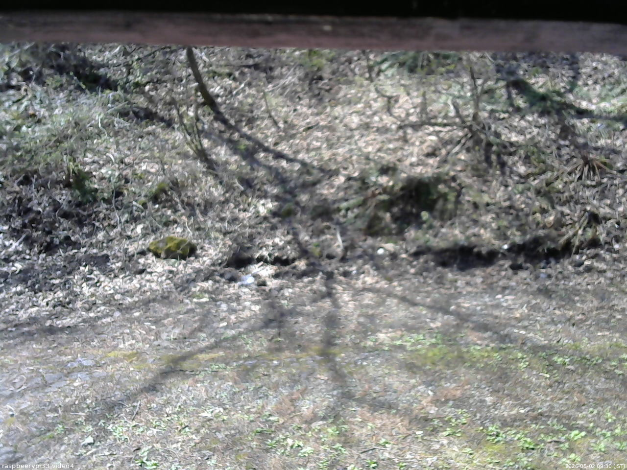 長野県菅平高原 ゆたか山荘 東側(坂下) 2026/05/02 09:30