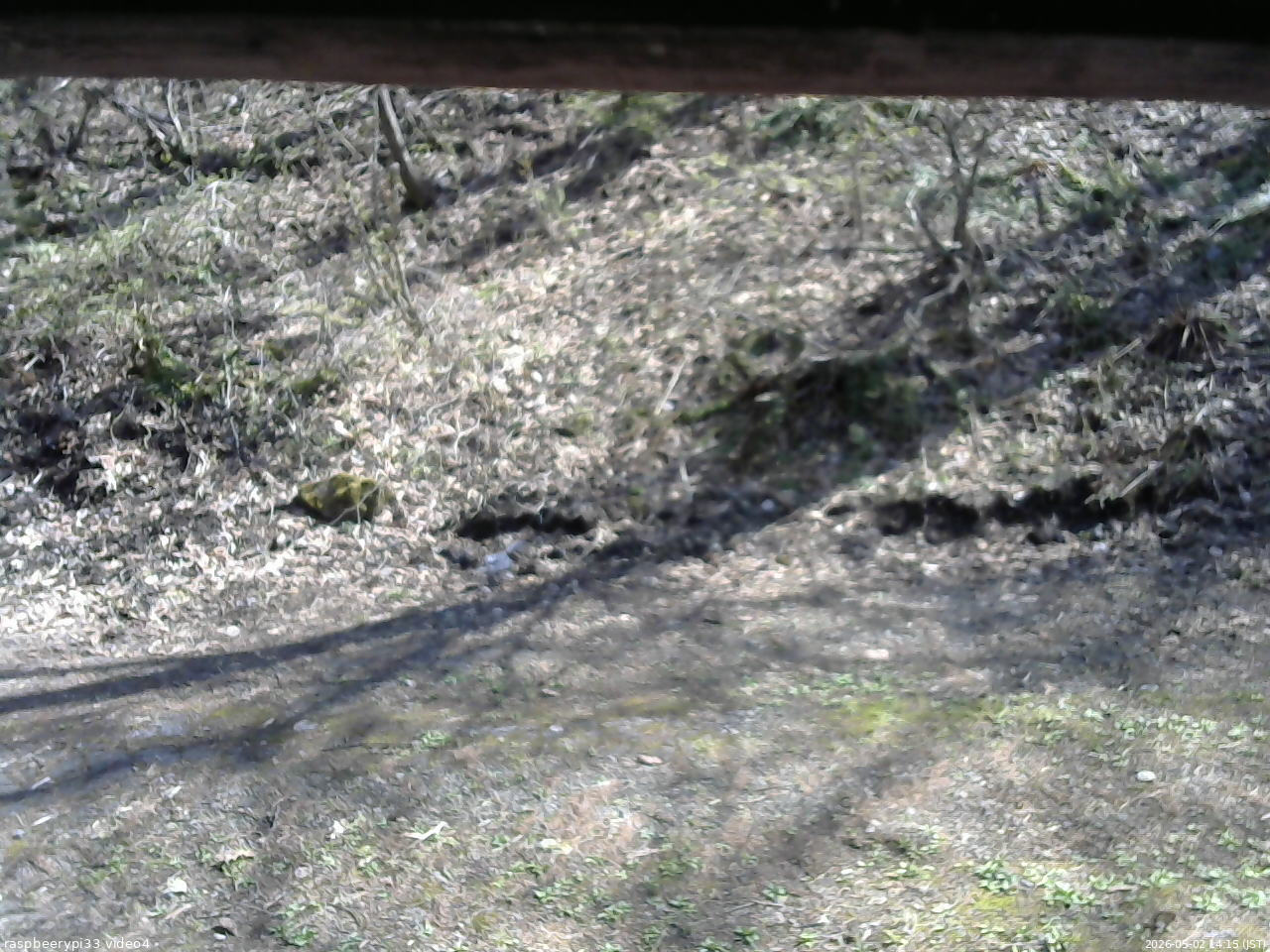 長野県菅平高原 ゆたか山荘 東側(坂下) 2026/05/02 14:15
