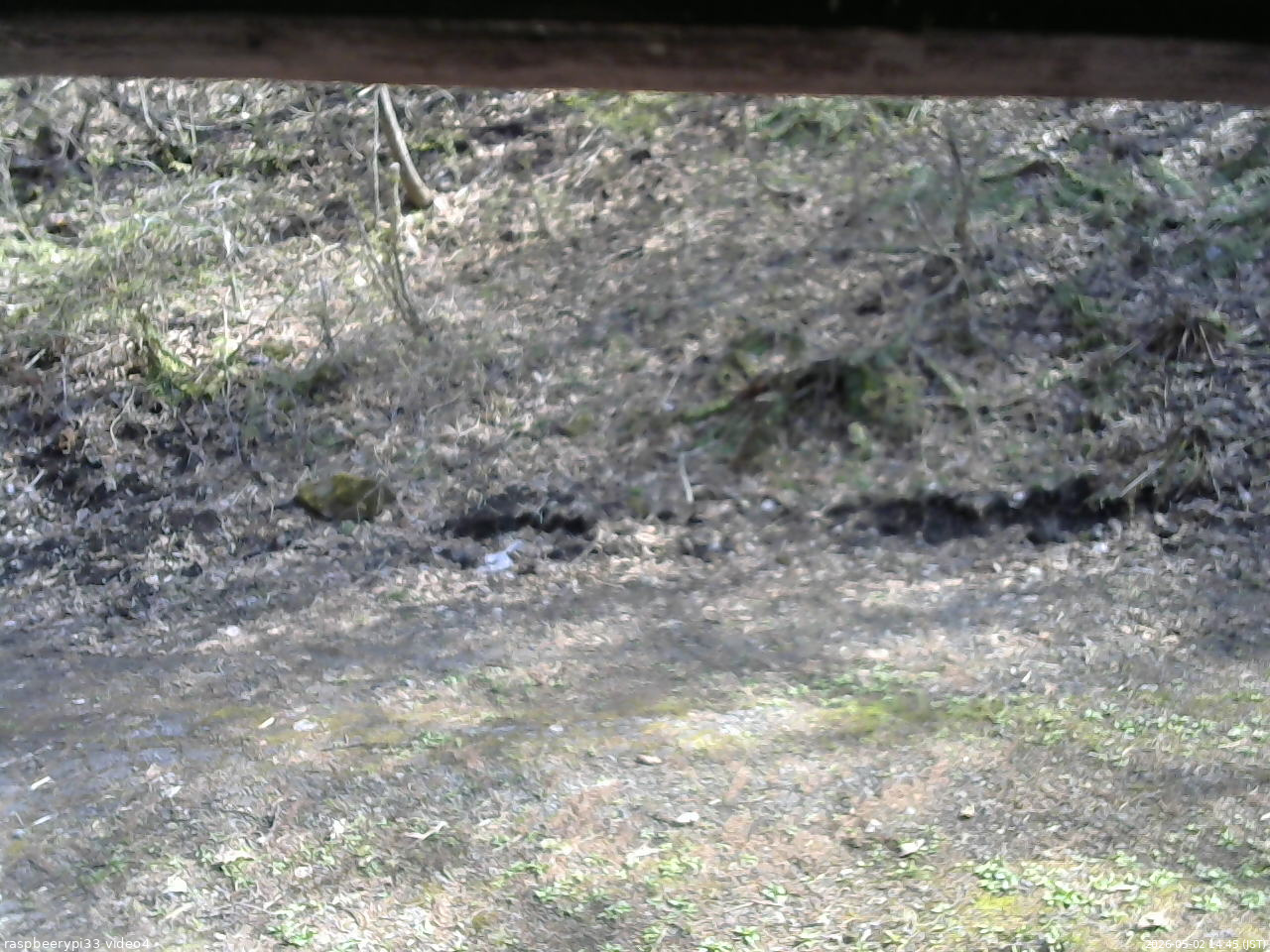 長野県菅平高原 ゆたか山荘 東側(坂下) 2026/05/02 14:45