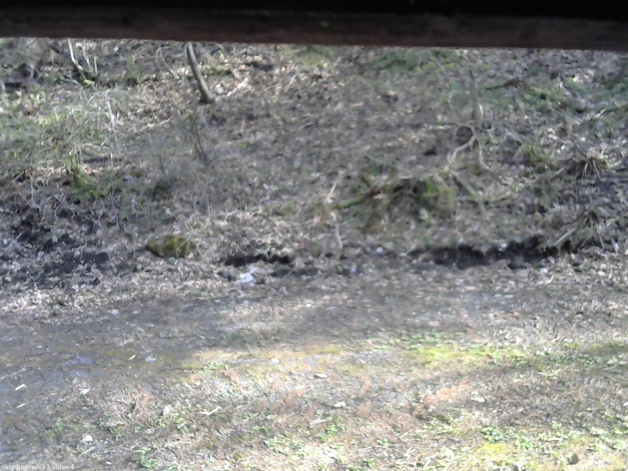 長野県菅平高原 ゆたか山荘 東側(坂下) 2026/05/02 15:30