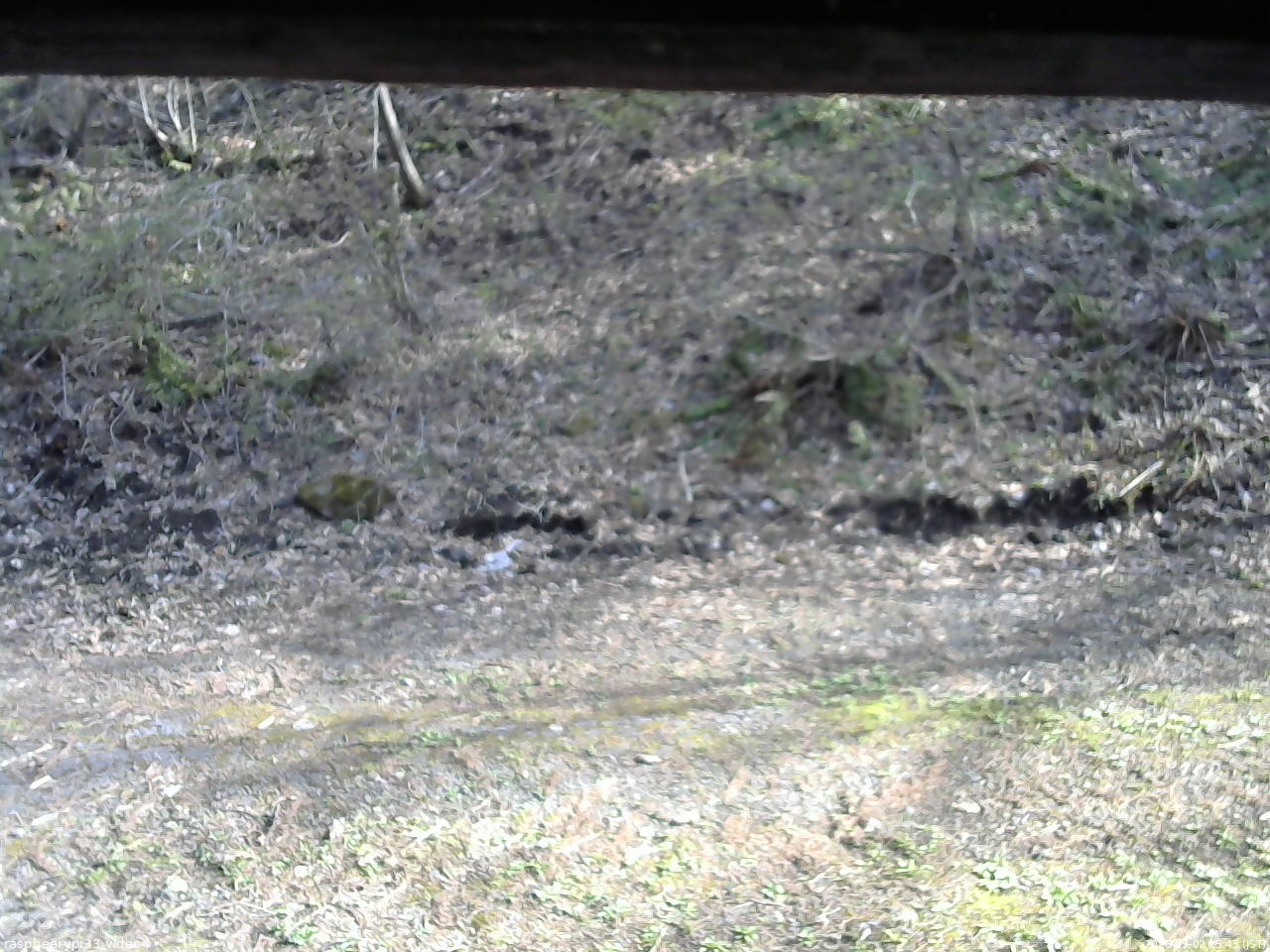長野県菅平高原 ゆたか山荘 東側(坂下) 2026/05/02 15:45