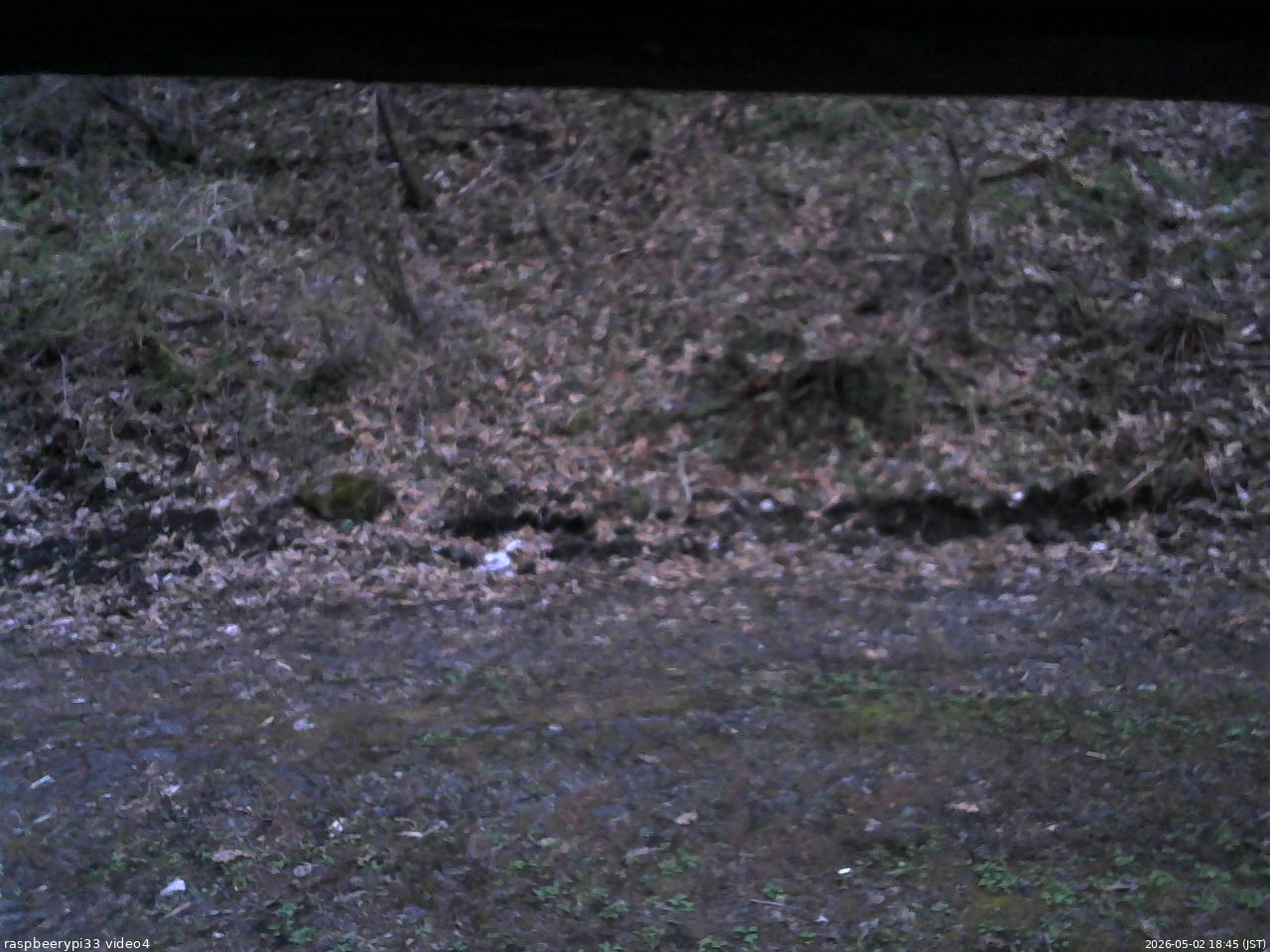 長野県菅平高原 ゆたか山荘 東側(坂下) 2026/05/02 18:45
