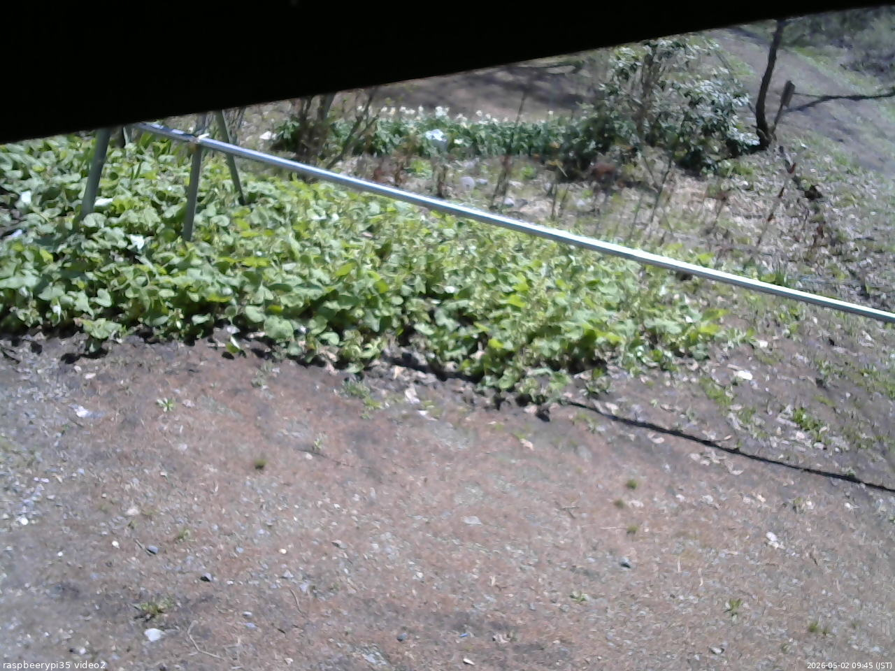 長野県菅平高原 ゆたか山荘 駐車場 2026/05/02 09:45