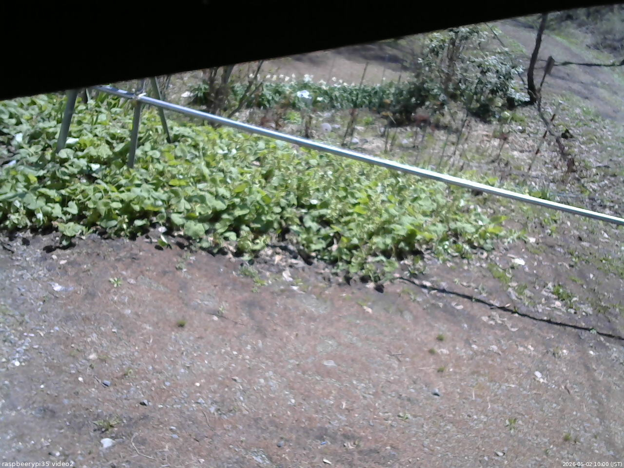 長野県菅平高原 ゆたか山荘 駐車場 2026/05/02 10:00