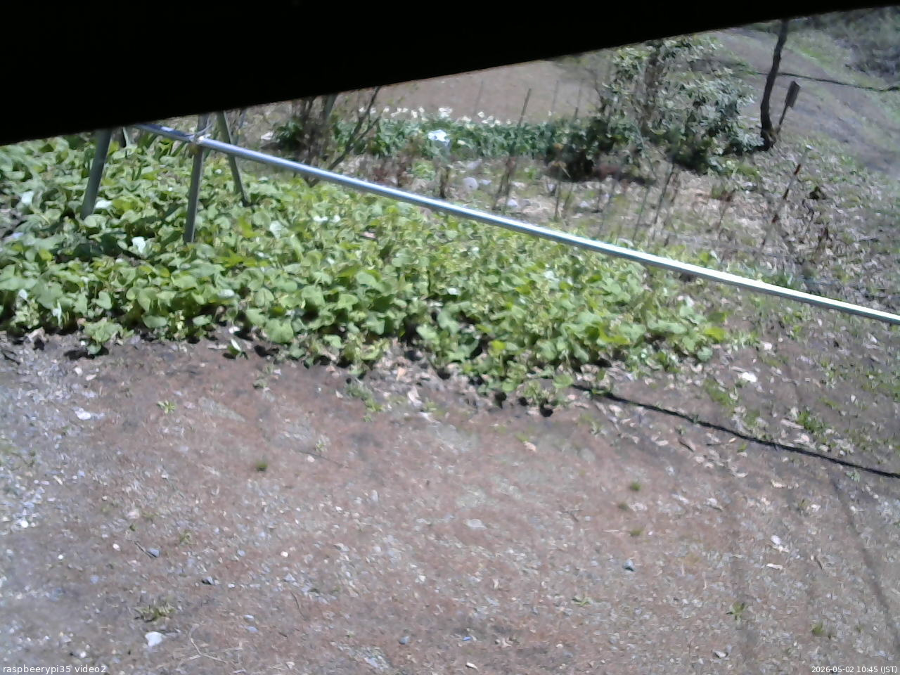 長野県菅平高原 ゆたか山荘 駐車場 2026/05/02 10:45