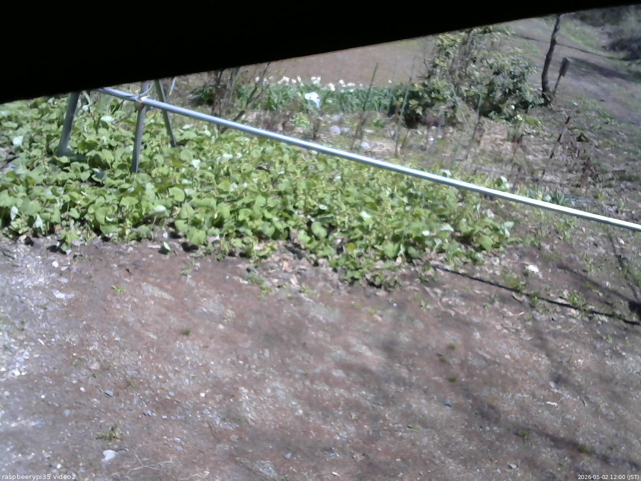 長野県菅平高原 ゆたか山荘 駐車場 2026/05/02 12:00