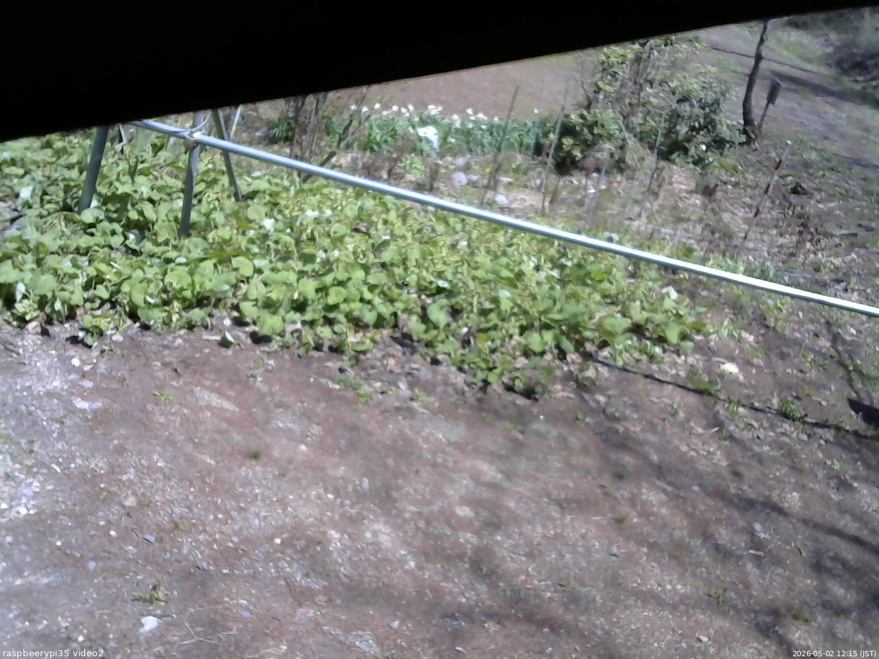 長野県菅平高原 ゆたか山荘 駐車場 2026/05/02 12:15