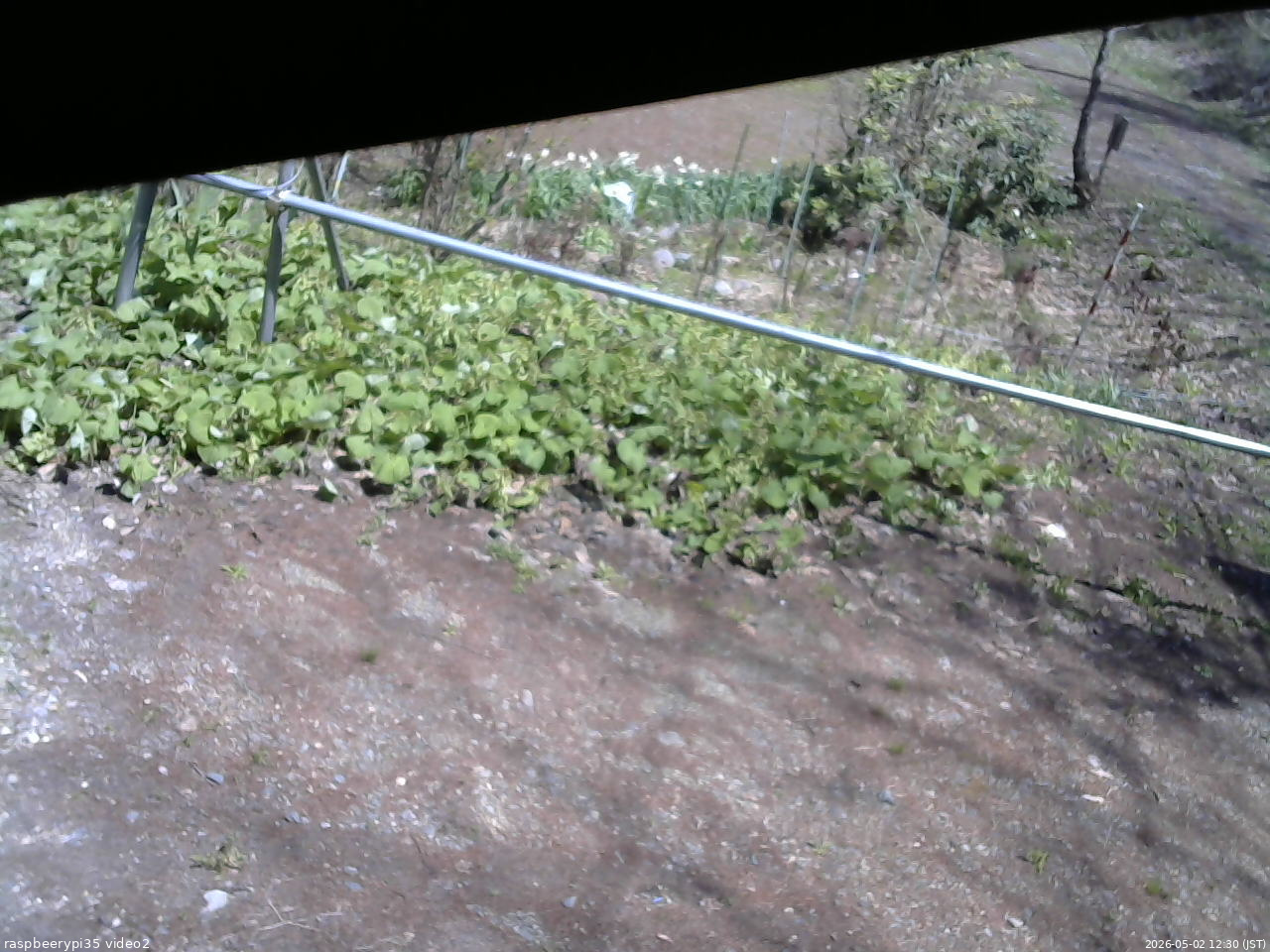 長野県菅平高原 ゆたか山荘 駐車場 2026/05/02 12:30
