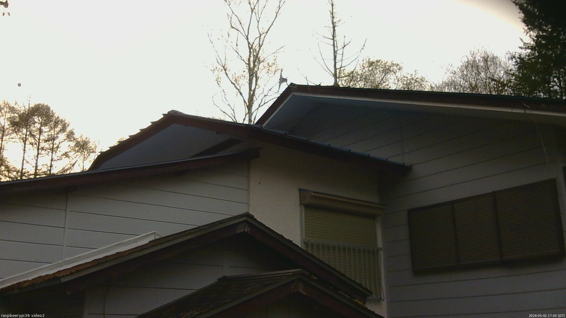 長野県菅平高原 ゆたか山荘 駐車場奥 2026/05/02 17:45
