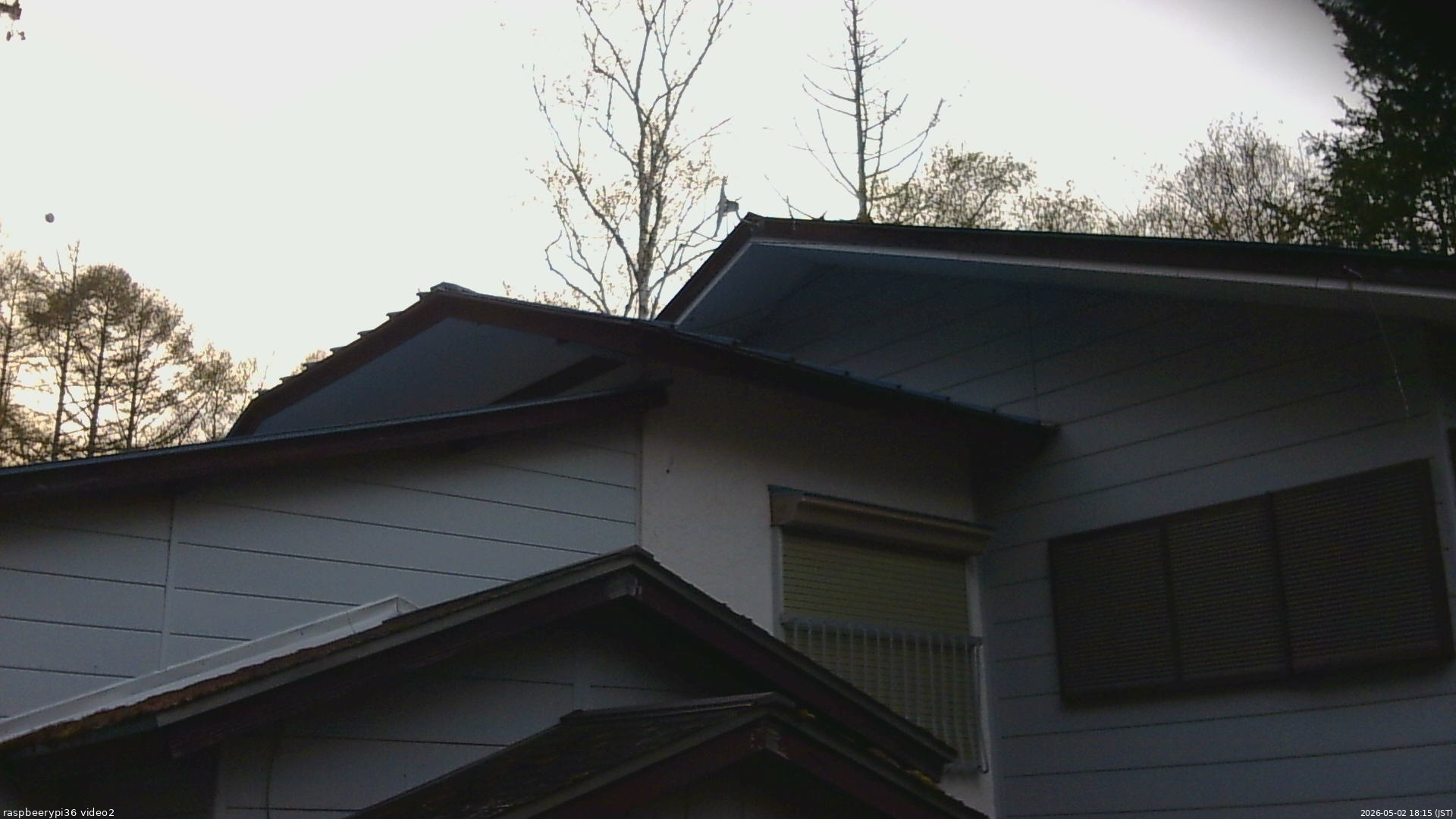 長野県菅平高原 ゆたか山荘 駐車場奥 2026/05/02 18:15