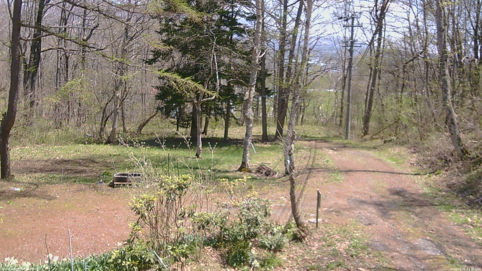 長野県菅平高原 ゆたか山荘 坂上 2026/05/02 11:30