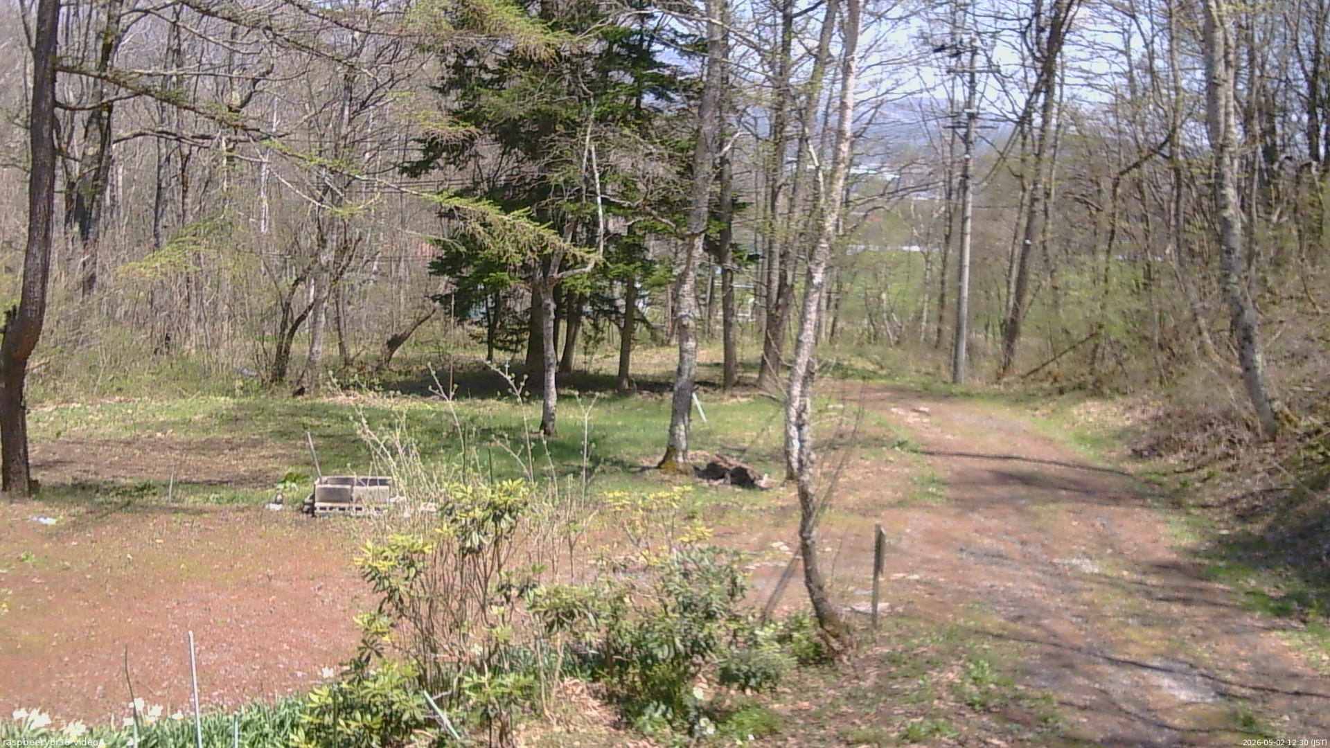 長野県菅平高原 ゆたか山荘 坂上 2026/05/02 12:30