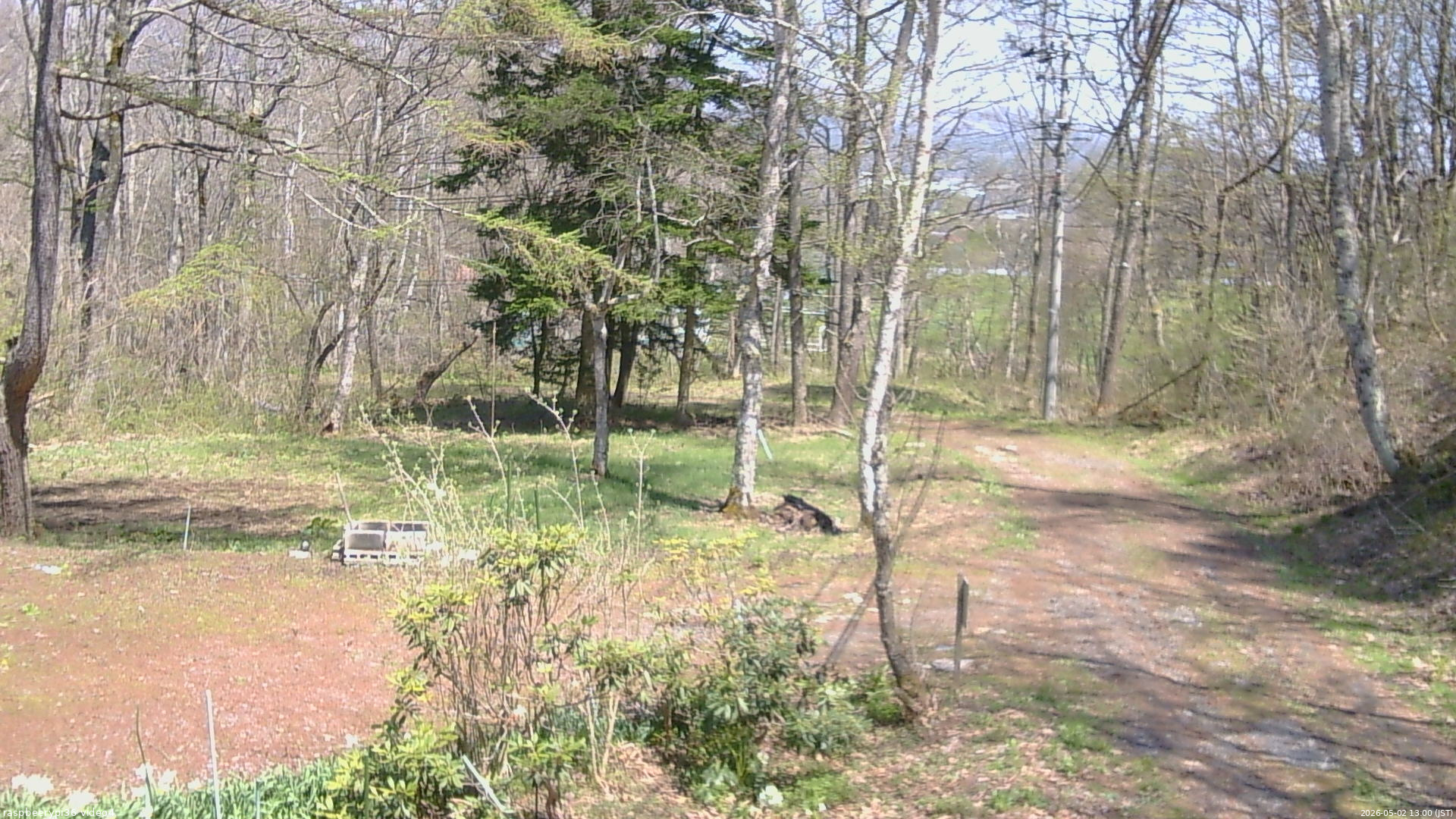 長野県菅平高原 ゆたか山荘 坂上 2026/05/02 13:00