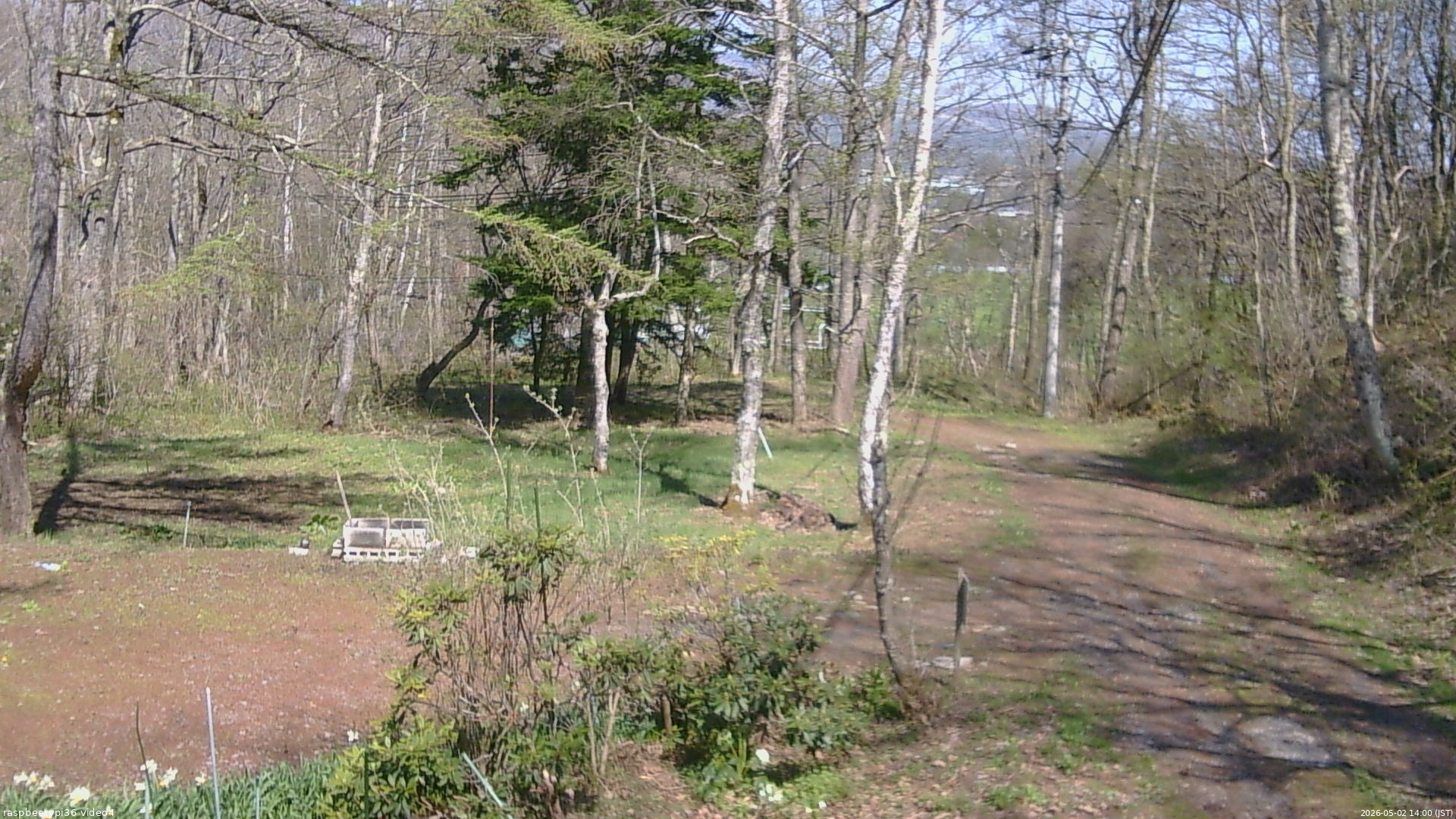 長野県菅平高原 ゆたか山荘 坂上 2026/05/02 14:00
