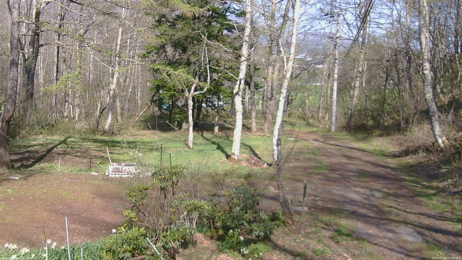長野県菅平高原 ゆたか山荘 坂上 2026/05/02 15:00