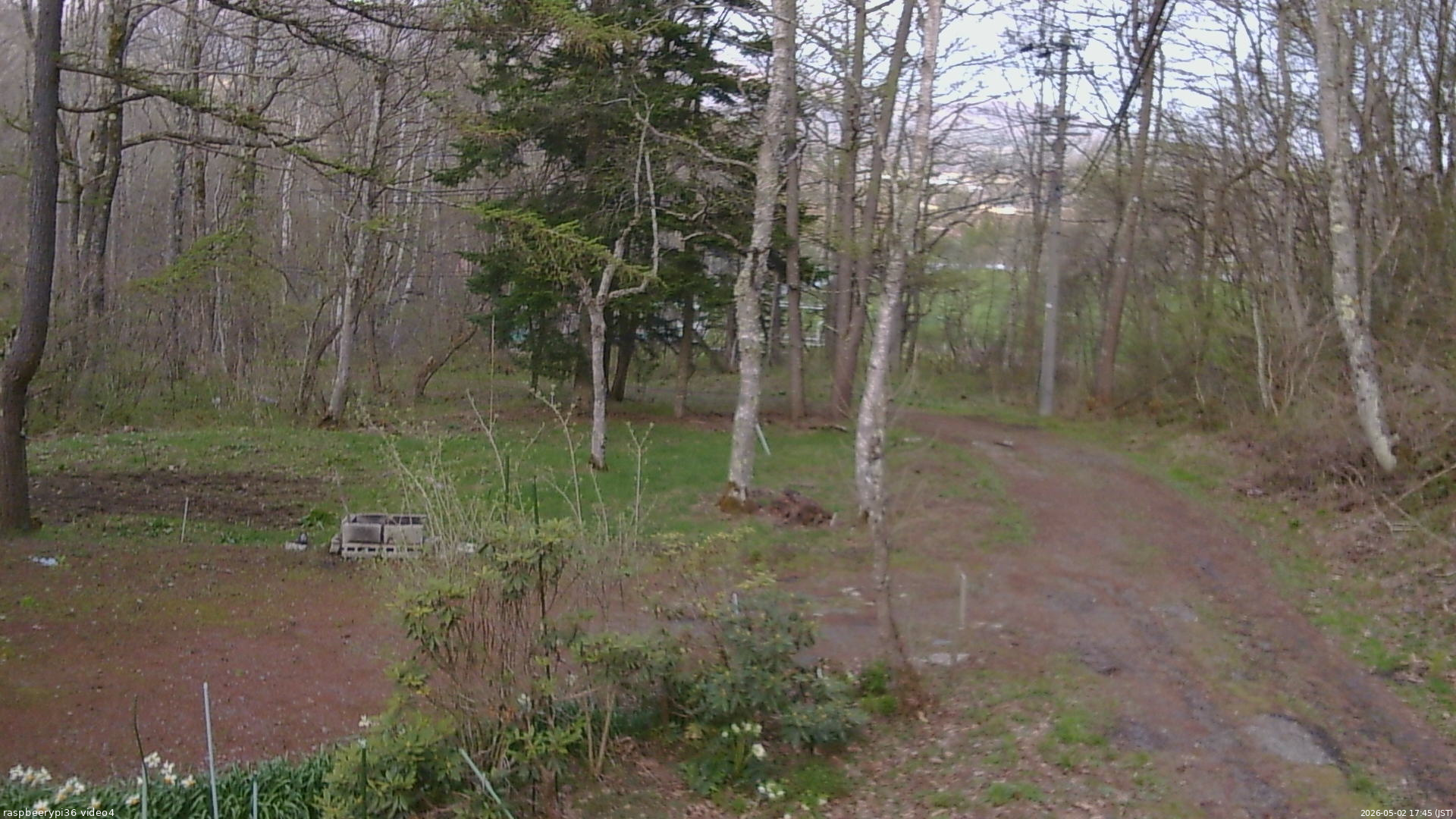 長野県菅平高原 ゆたか山荘 坂上 2026/05/02 17:45