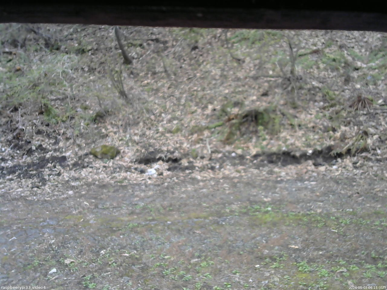 長野県菅平高原 ゆたか山荘 東側(坂下) 2026/05/03 06:15
