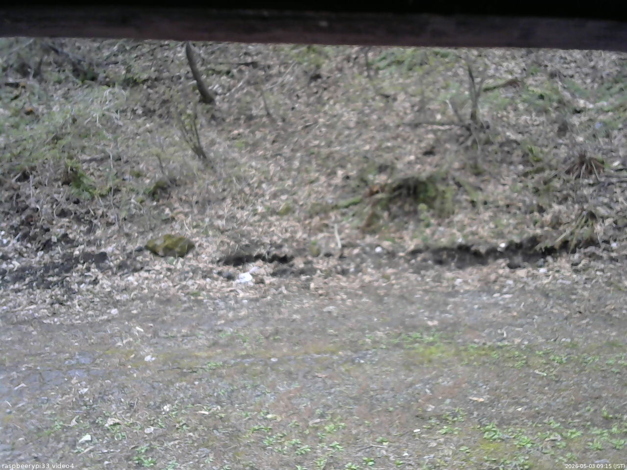 長野県菅平高原 ゆたか山荘 東側(坂下) 2026/05/03 09:15