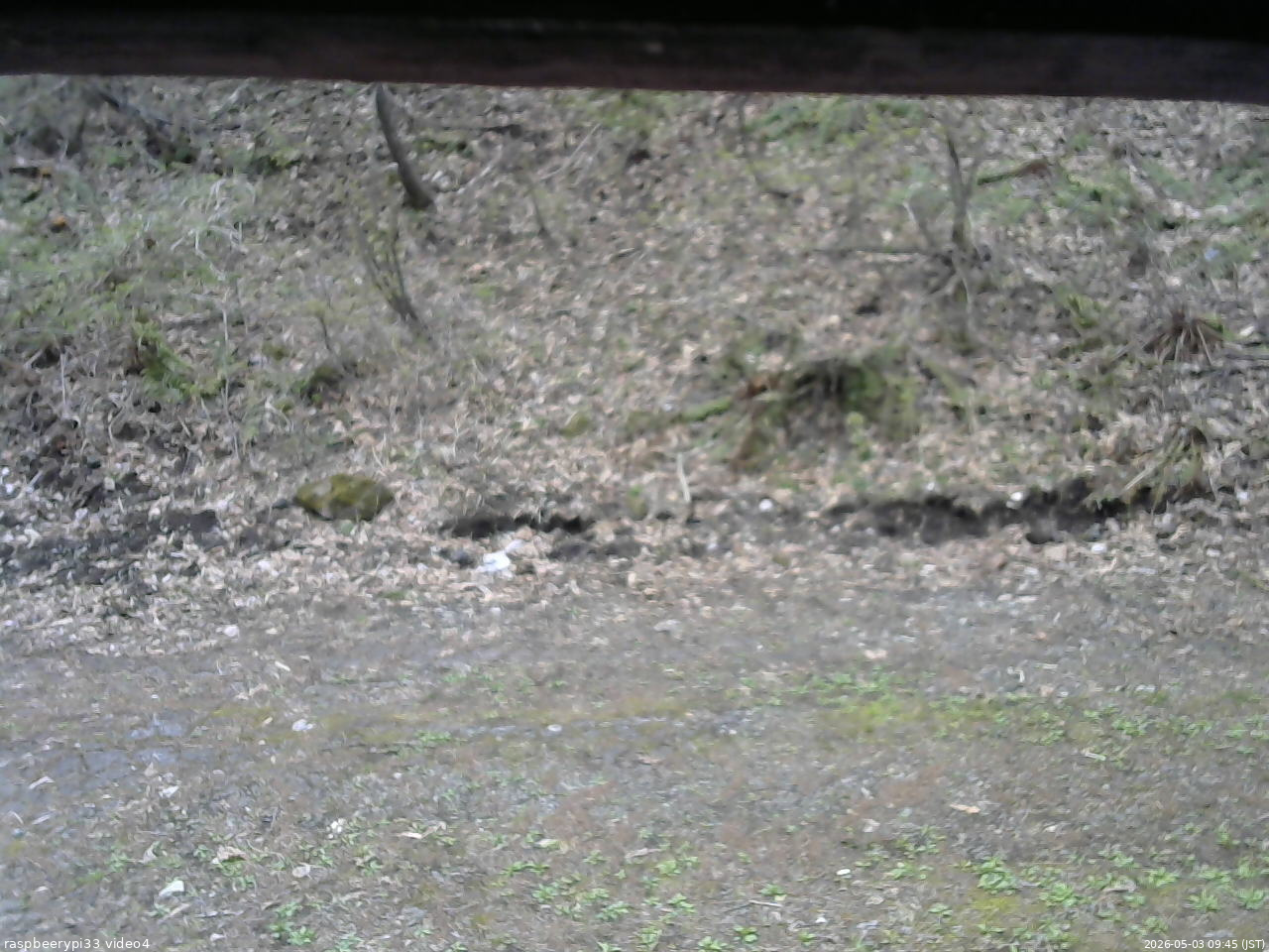 長野県菅平高原 ゆたか山荘 東側(坂下) 2026/05/03 09:45