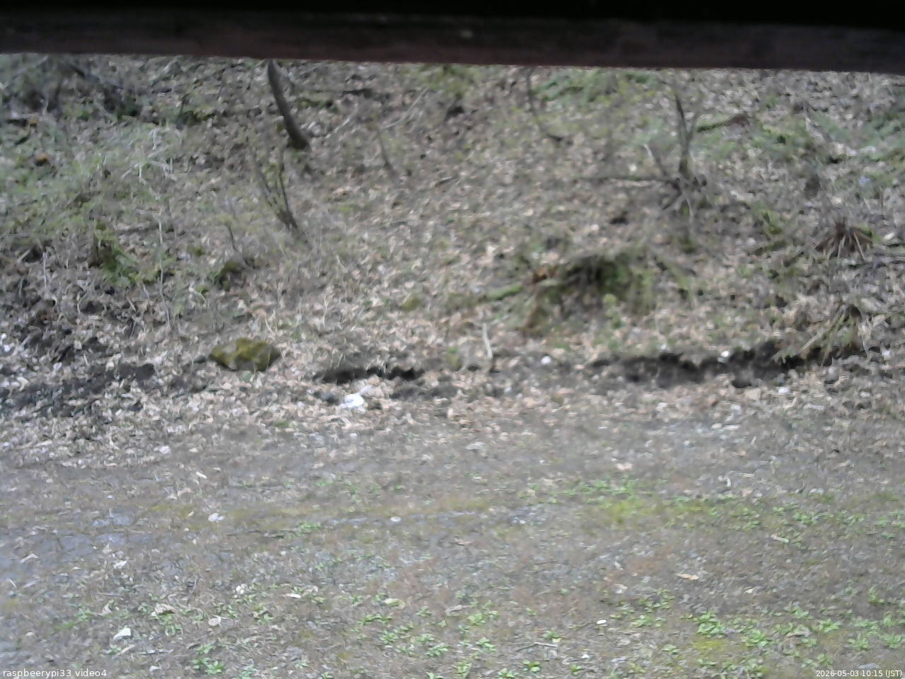 長野県菅平高原 ゆたか山荘 東側(坂下) 2026/05/03 10:15