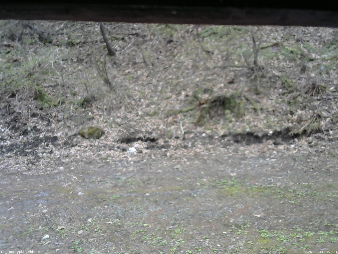 長野県菅平高原 ゆたか山荘 東側(坂下) 2026/05/03 10:45