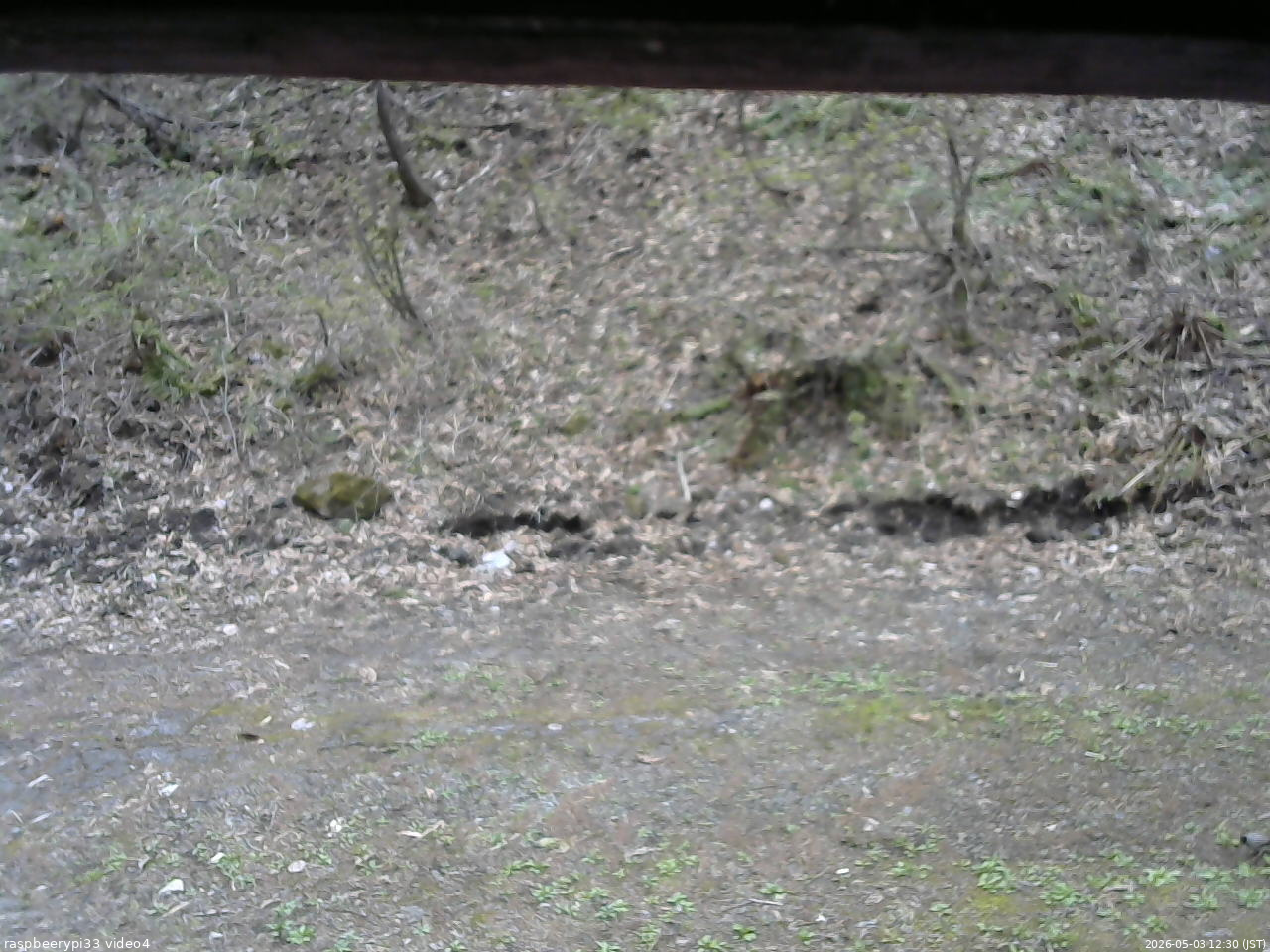 長野県菅平高原 ゆたか山荘 東側(坂下) 2026/05/03 12:30