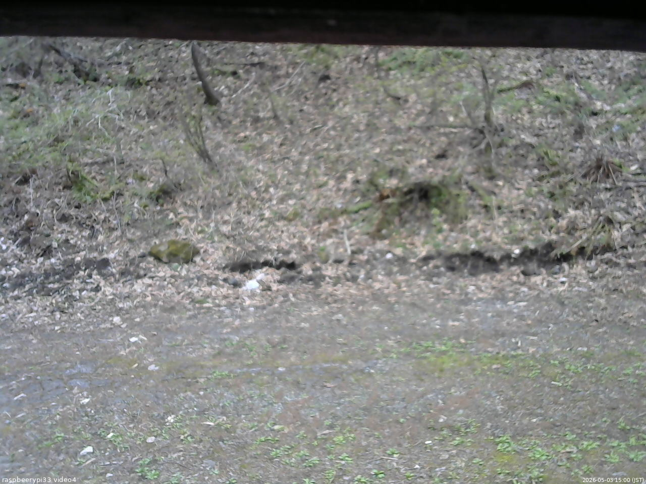 長野県菅平高原 ゆたか山荘 東側(坂下) 2026/05/03 15:00