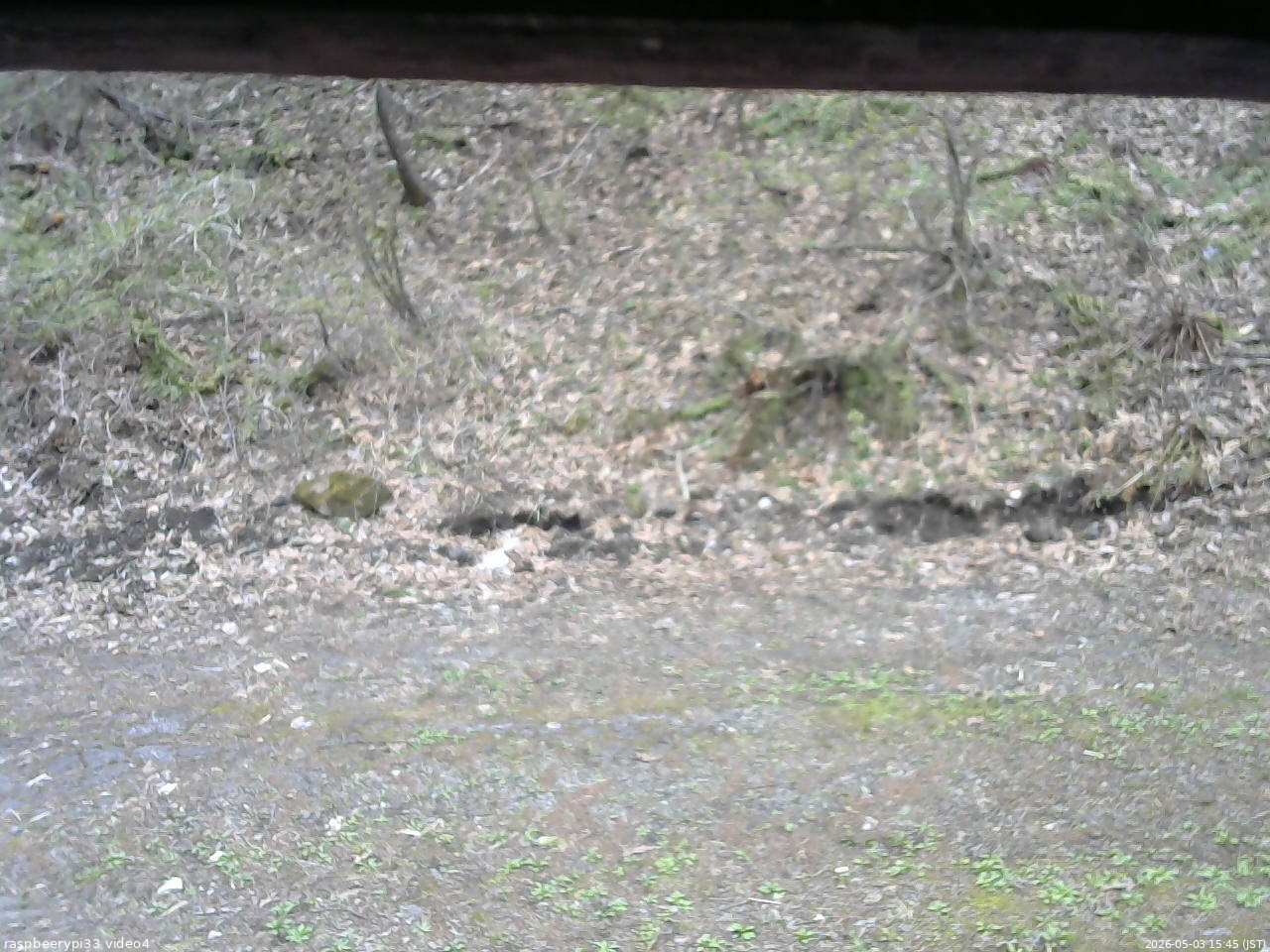 長野県菅平高原 ゆたか山荘 東側(坂下) 2026/05/03 15:45