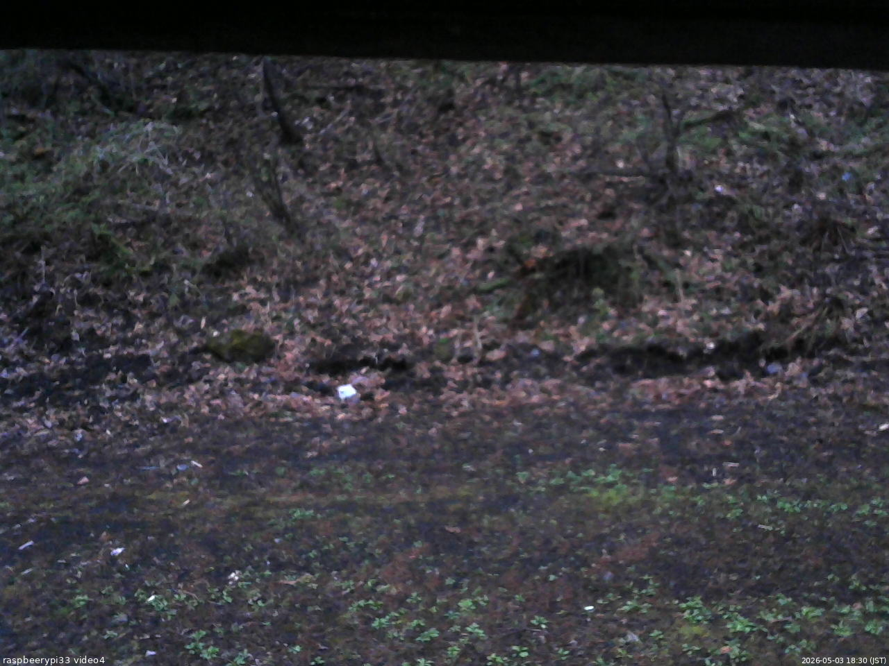 長野県菅平高原 ゆたか山荘 東側(坂下) 2026/05/03 18:30