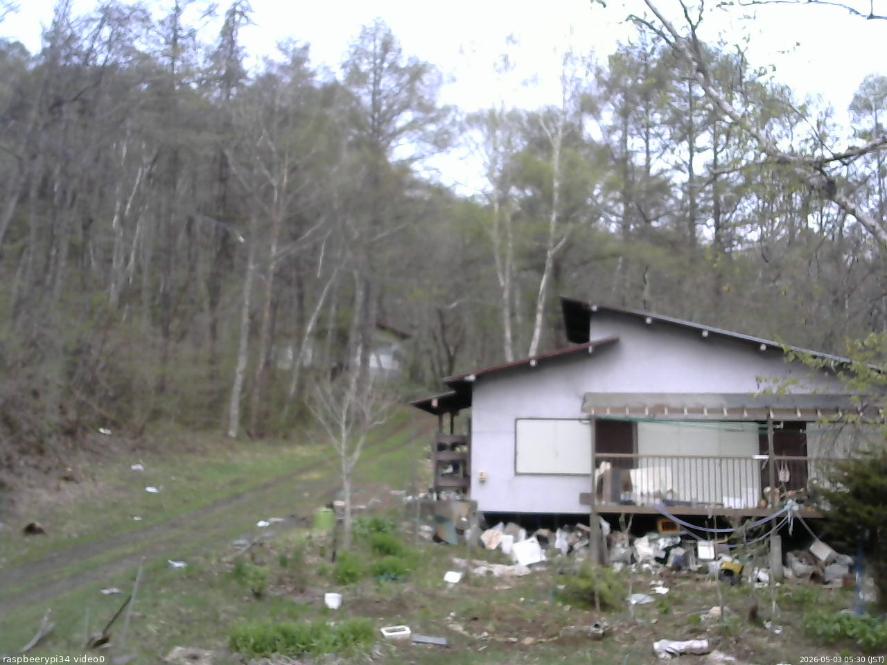 長野県菅平高原 ゆたか山荘 西側(坂上) 2026/05/03 05:30