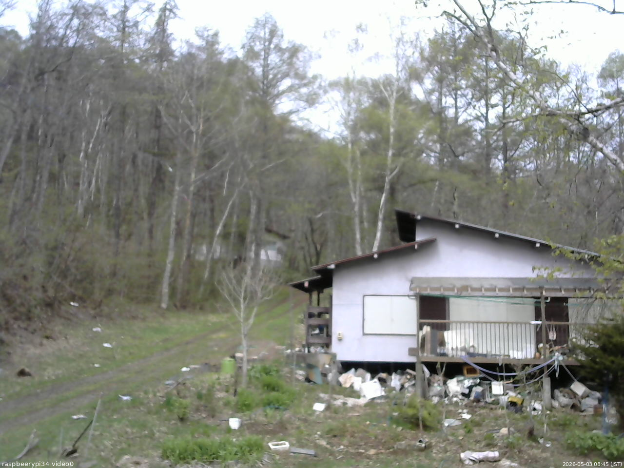 長野県菅平高原 ゆたか山荘 西側(坂上) 2026/05/03 08:45