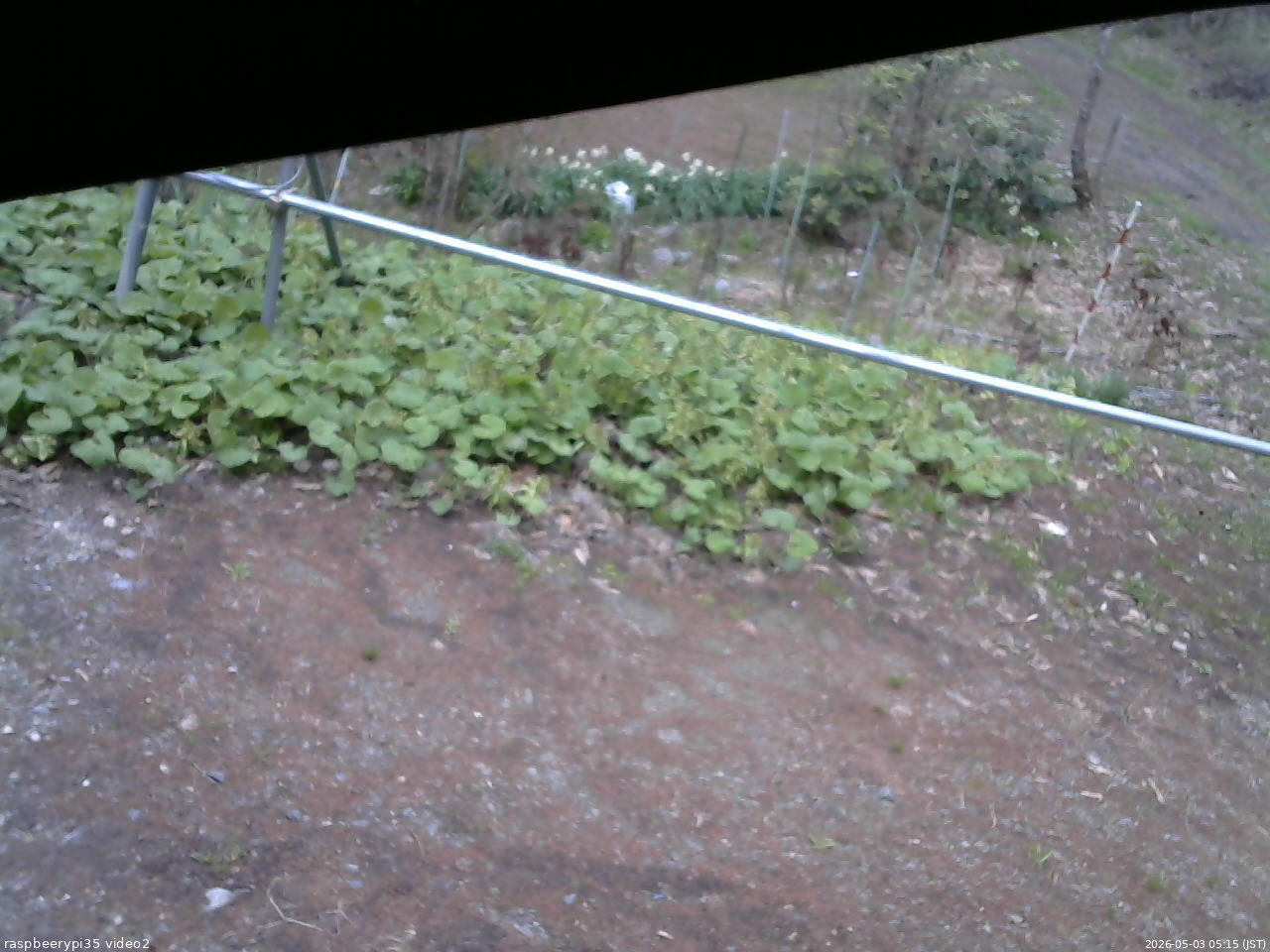 長野県菅平高原 ゆたか山荘 駐車場 2026/05/03 05:15