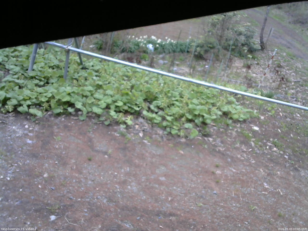 長野県菅平高原 ゆたか山荘 駐車場 2026/05/03 05:45