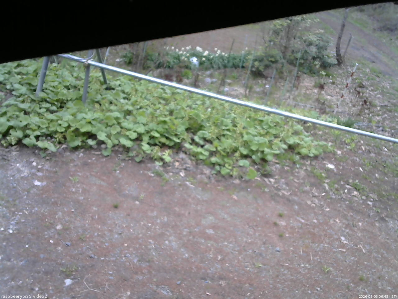 長野県菅平高原 ゆたか山荘 駐車場 2026/05/03 06:45