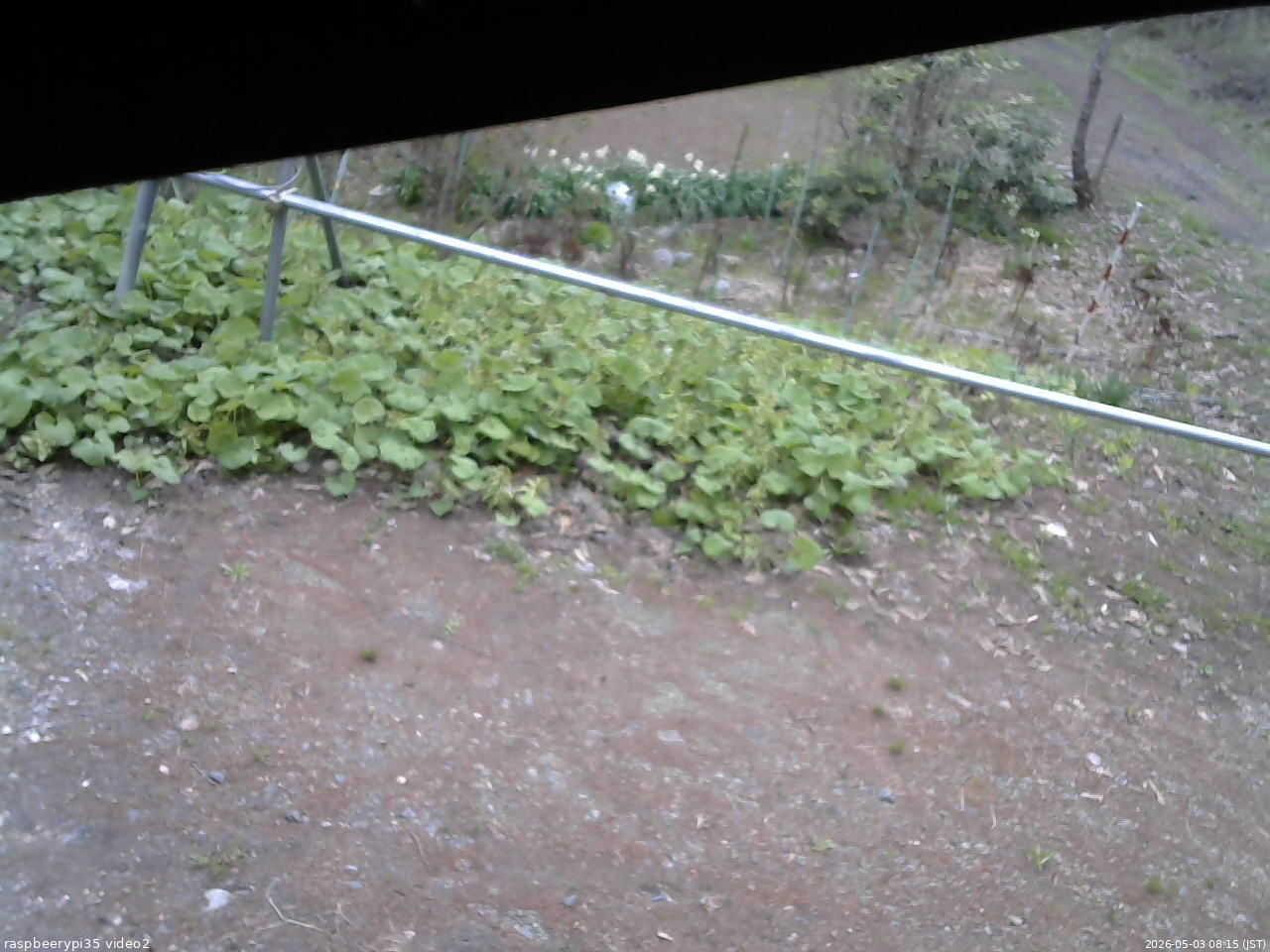 長野県菅平高原 ゆたか山荘 駐車場 2026/05/03 08:15