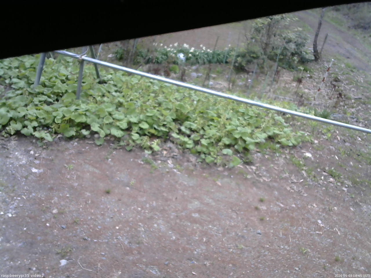 長野県菅平高原 ゆたか山荘 駐車場 2026/05/03 08:45