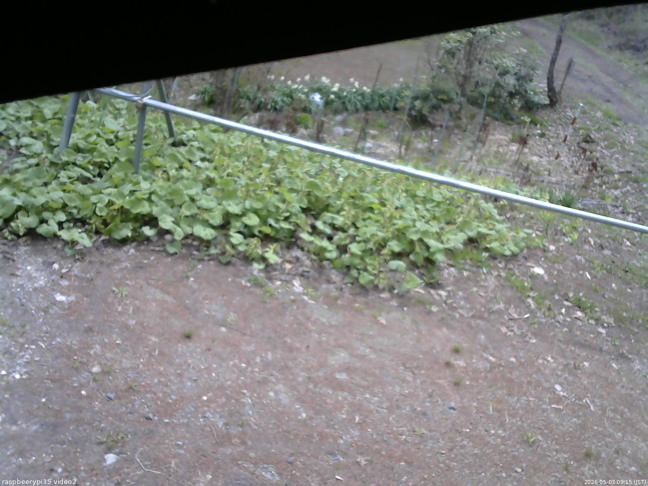 長野県菅平高原 ゆたか山荘 駐車場 2026/05/03 09:15