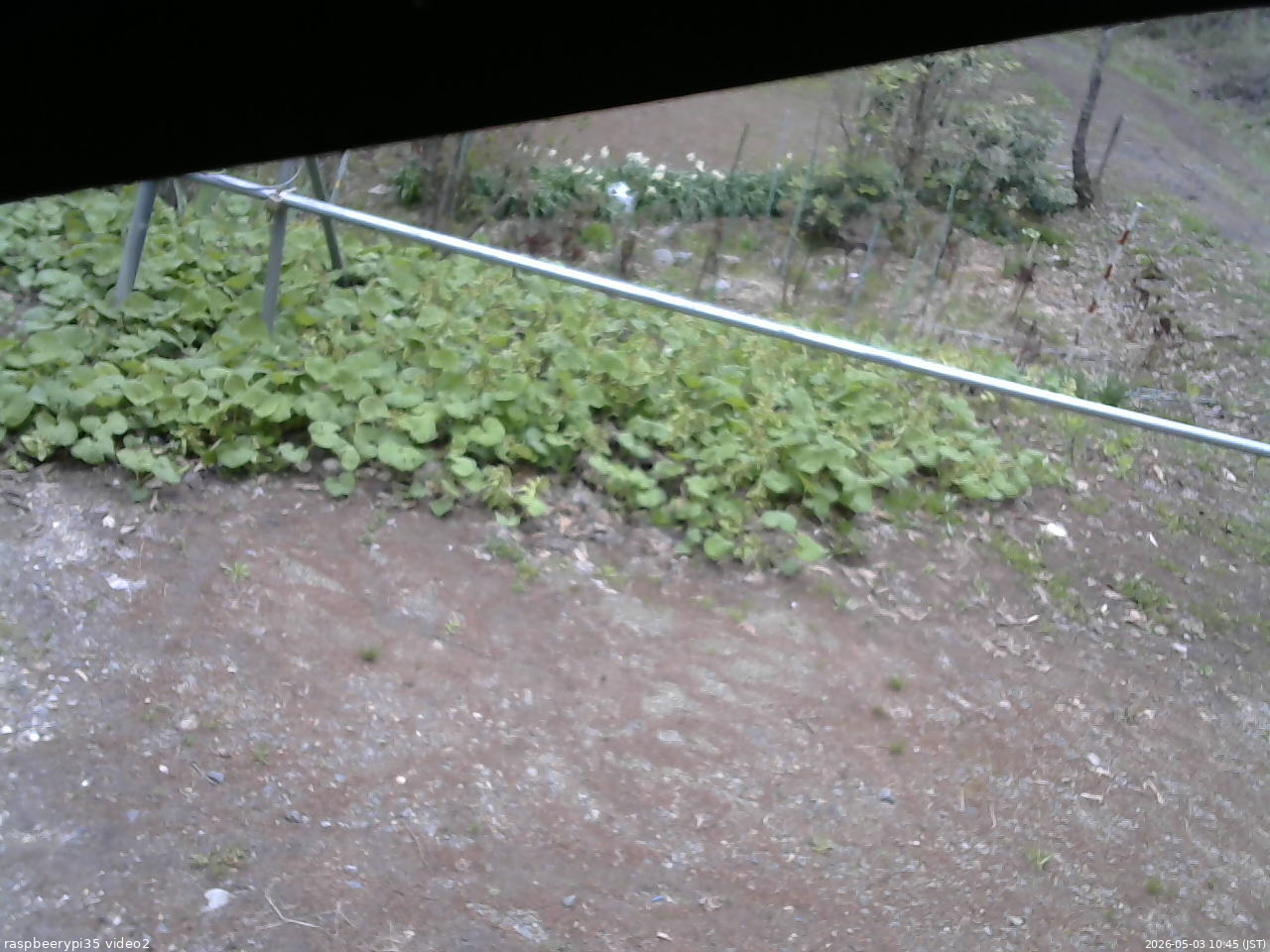 長野県菅平高原 ゆたか山荘 駐車場 2026/05/03 10:45