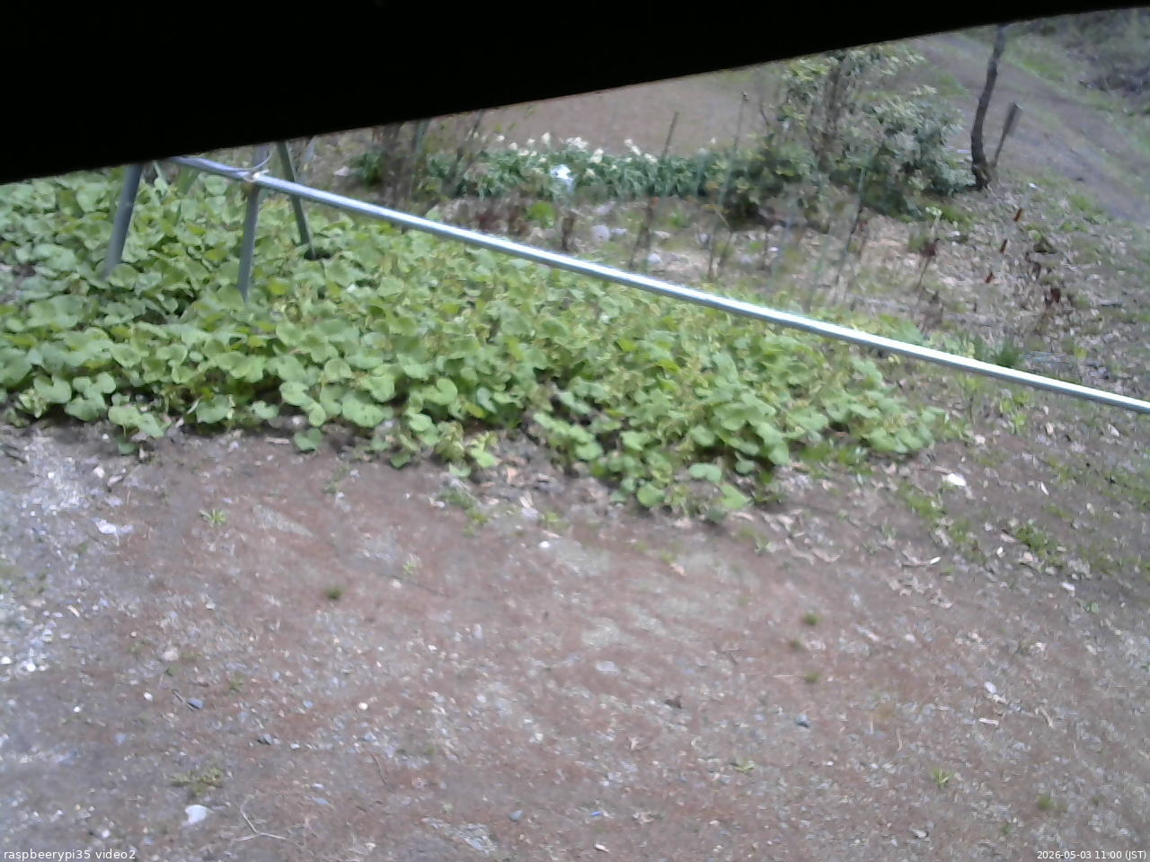 長野県菅平高原 ゆたか山荘 駐車場 2026/05/03 11:00