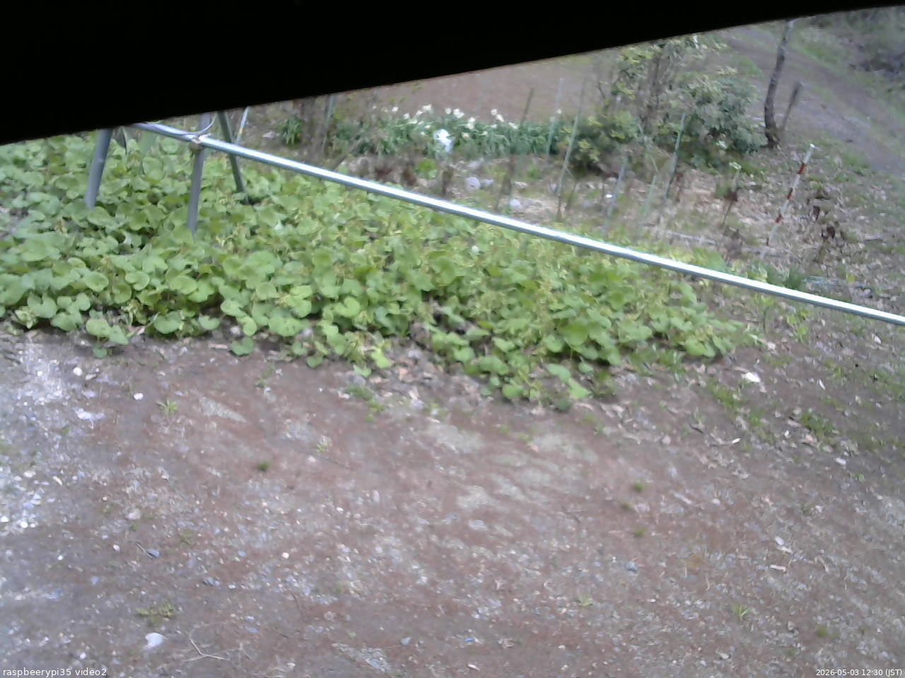 長野県菅平高原 ゆたか山荘 駐車場 2026/05/03 12:30