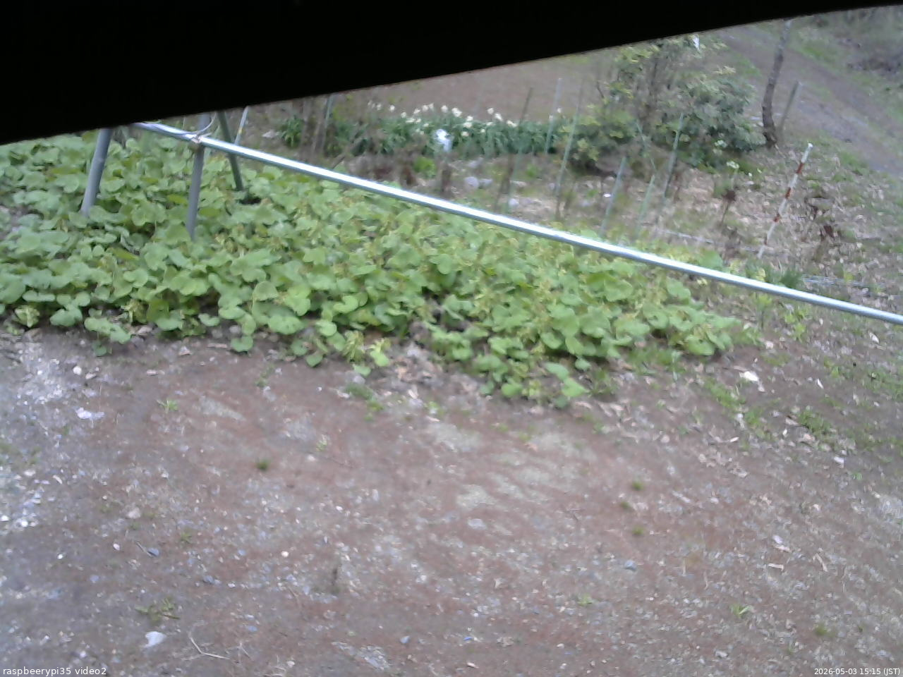 長野県菅平高原 ゆたか山荘 駐車場 2026/05/03 15:15