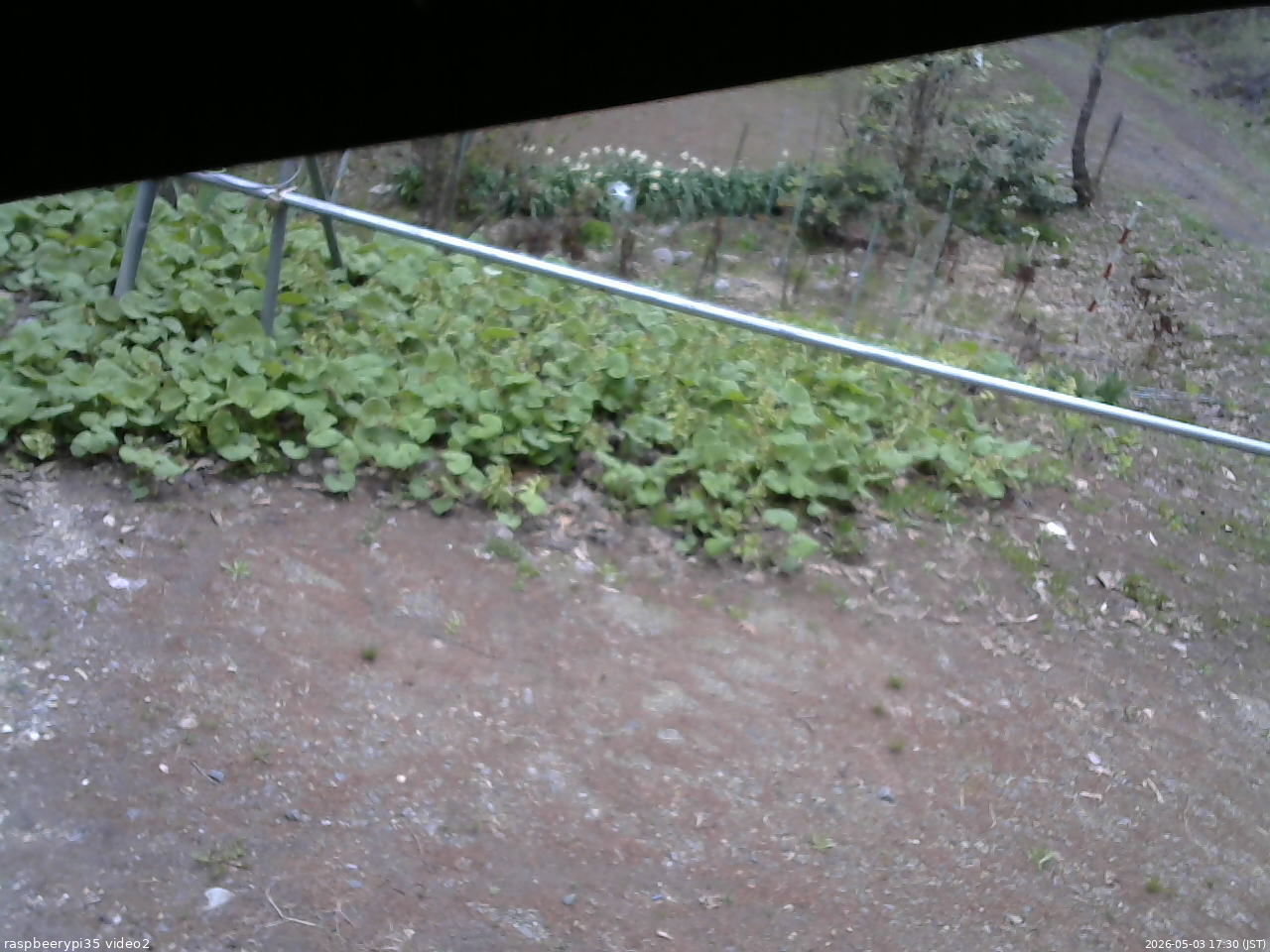 長野県菅平高原 ゆたか山荘 駐車場 2026/05/03 17:30
