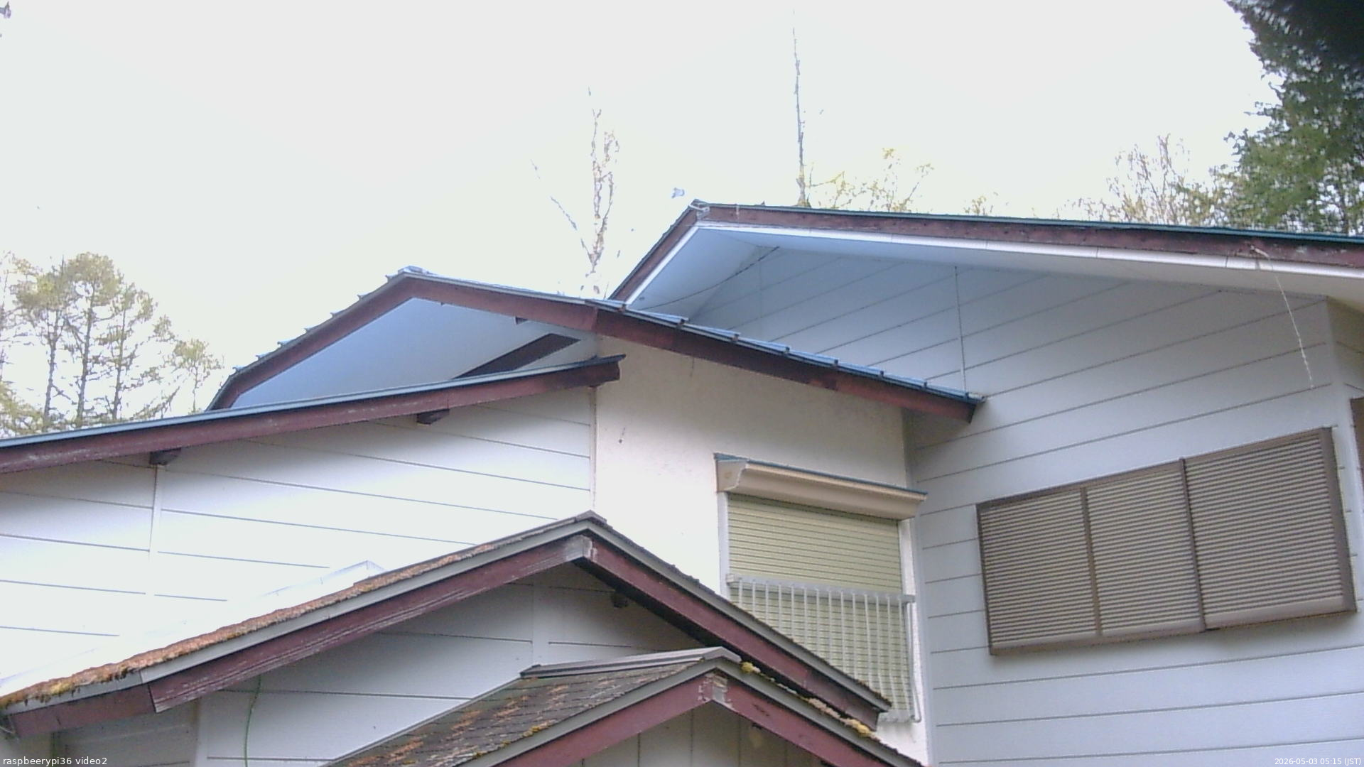 長野県菅平高原 ゆたか山荘 駐車場奥 2026/05/03 05:15