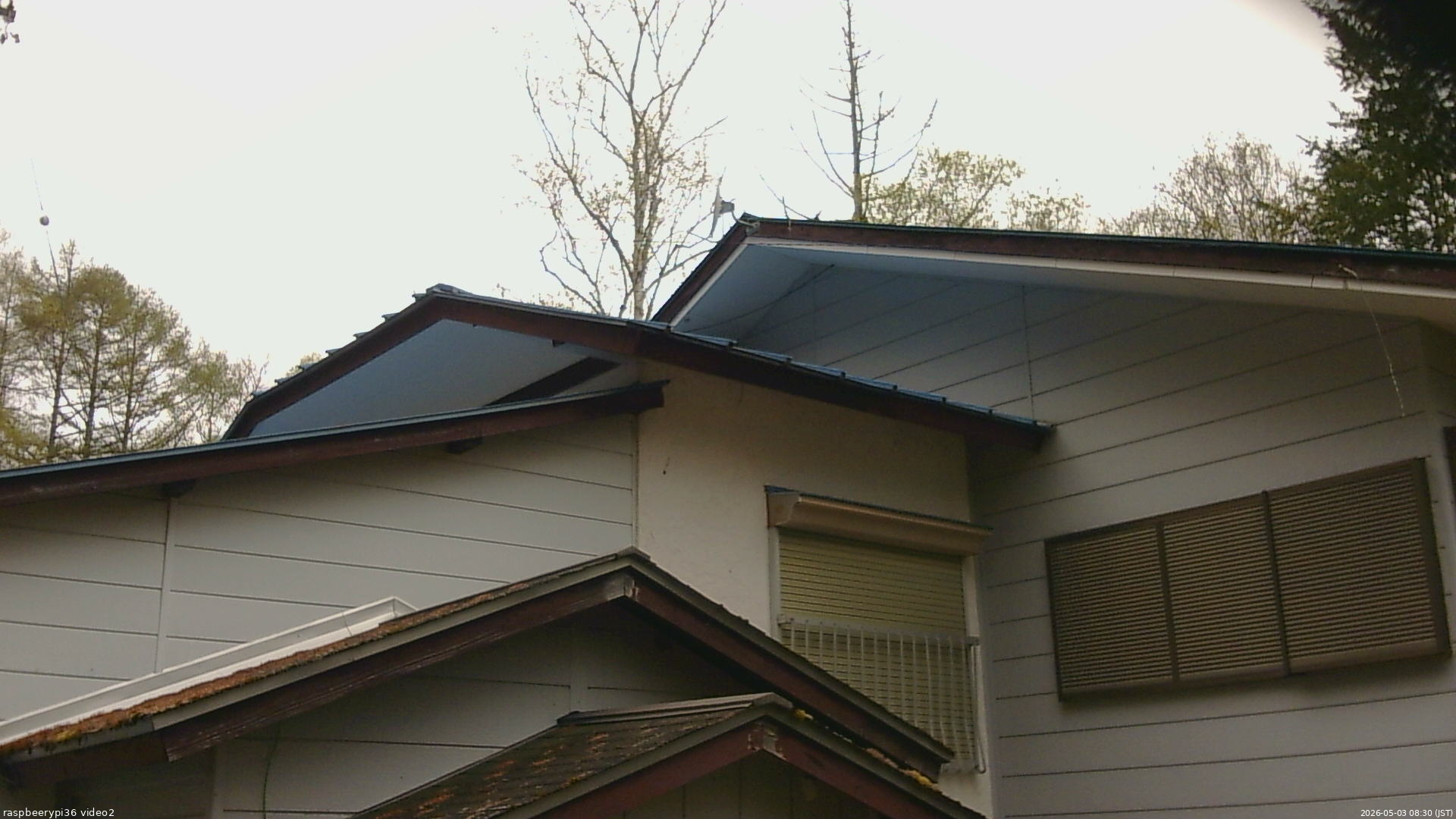 長野県菅平高原 ゆたか山荘 駐車場奥 2026/05/03 08:30