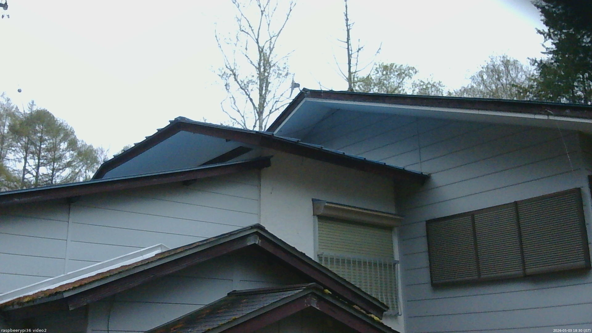 長野県菅平高原 ゆたか山荘 駐車場奥 2026/05/03 18:30